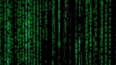 data codes and identifiers