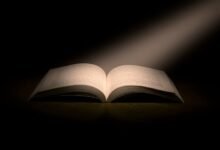 data insight extraction codes