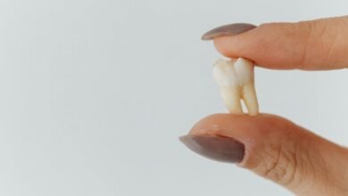 insight extraction index summary